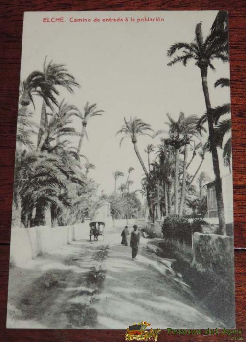 Postal De Elche Camino De Entrada A La Poblacion. Fototipia Thomas. 1903, Sin Circular