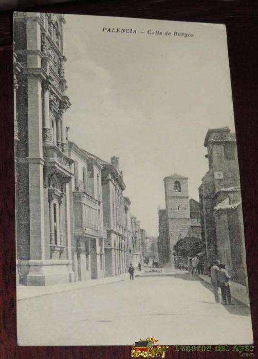 Postal De Palencia, Calle De Burgos. Foto Alonso. Sin Circular.