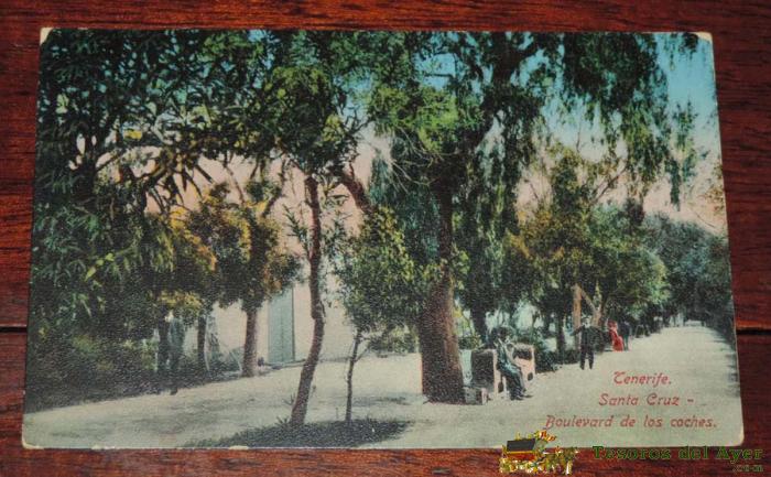 Postal De Tenerife, Santa Cruz, Boulevard De Los Coches, Circulada, En 1920. No Pone Editorial.