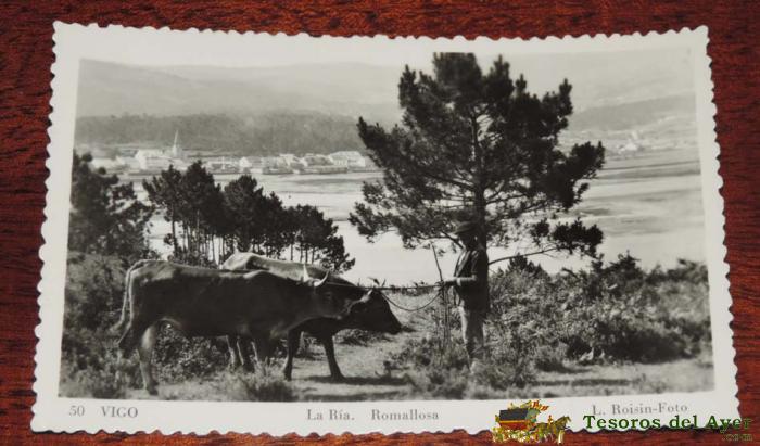 Antigua Foto Postal De Vigo, Pontevedra, N. 50, La Ria, Ramallosa, Ed. L. Roisin, Circulada.