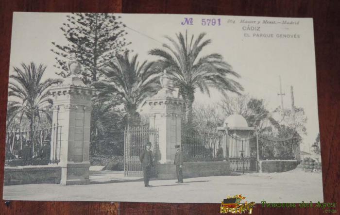 Tarjeta Postal De Cadiz, El Parque Genoves. 864 Hauser Y Menet, No Circulada.