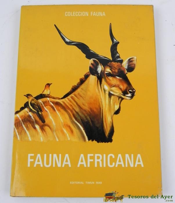Libro Fauna Africana. Editorial Timun Mas 1969. Ilustrado. 119 Pags. Tapas Duras Con Sobrecubierta. Mide 35 X 26 Cms. Tiene Firmas Dedicatorias.