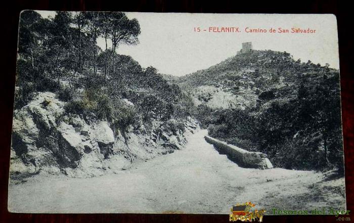 Postal De Palma De Mallorca, N. 15, Felanitx. Camino De San Salvador. No Circulada. Ed. Thomas.