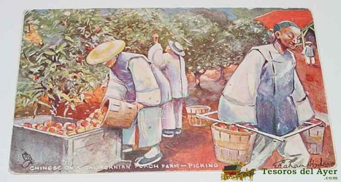 Antigua Postal De Agricultores Chinos - No Circulada - Ed.raphael Tuck.