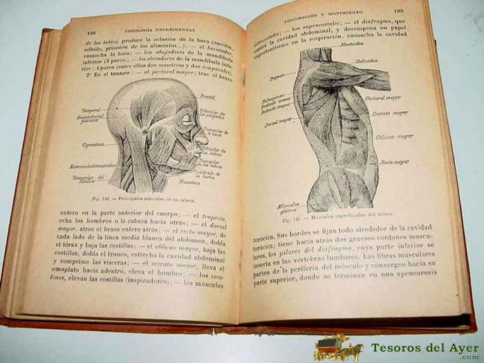 Fisiologia experimental