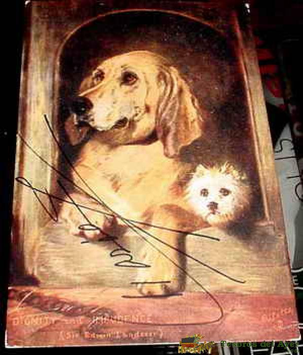 Antigua Postal Animales - Dos Perros En Su Caseta - Circulada - Ed. Raphael Tuck.
