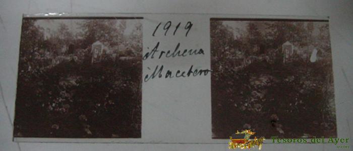 Antigua Fotografia Estereoscopica De Archena, Murcia - Macetero 1919 - Positivo En Cristal - Mide 10,5 X 4,3 Cms.