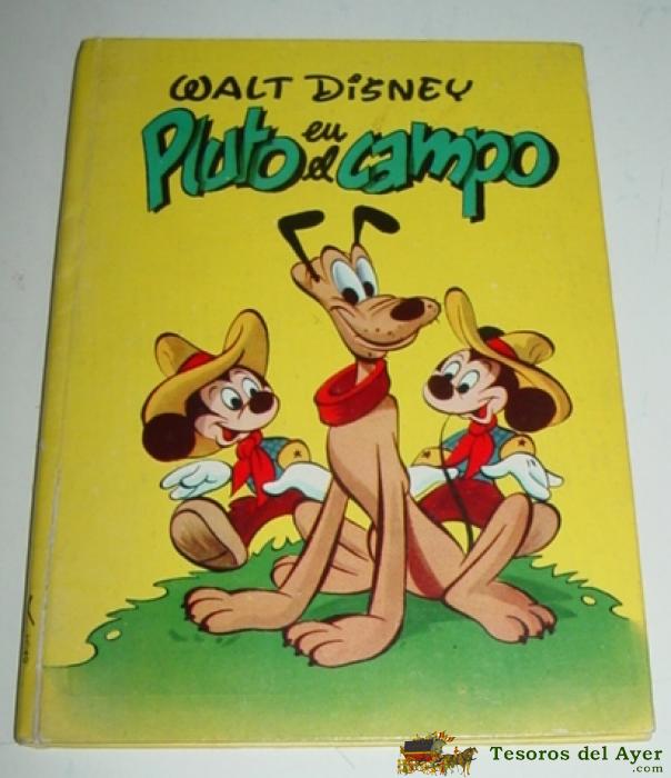 Antiguo Cuento De Walt Disney - Pluto En El Campo - Ed. Molino - A�o 1961 - Ilustraciones A Color - 36 Pag. - Mide 19 X 14 Cm. - Buen Estado De Conservacion.