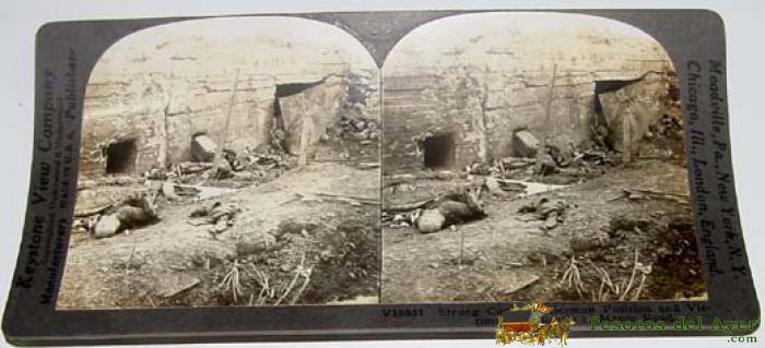 Victimas Despues De La Batalla - Ed. Keystone View Company - Made In U.s.a - Mide 18 X 9 Cms.