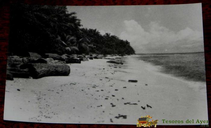 Antigua Foto Postal Guinea Ecuatorial Espa�ola - 204. Playa De Corisco- Foto California, Bata - No Circulada.