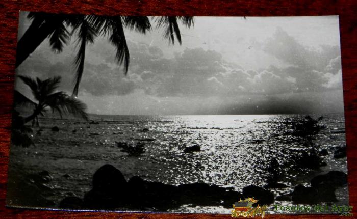 Antigua Foto Postal Guinea Ecuatorial Espa�ola - 231. Paisaje Tipico - Foto California, Bata - No Circulada.