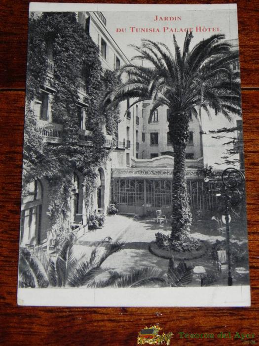 Antigua Postal De Jardin De Tunisia Palace Hotel - Tunez - No Circulada.