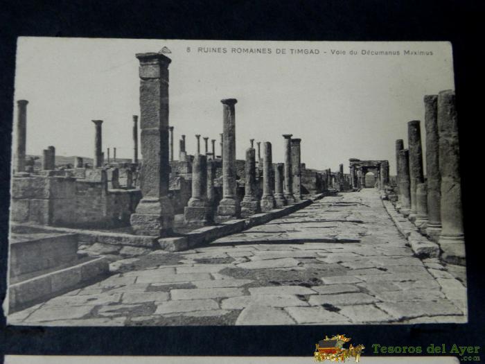 Antigua Postal, Alger, Ruinas Romanas De Timgad, No Circulada