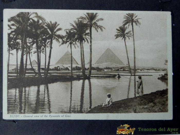 Antigua Postal, Vista General De Las Piramides De Giza, No Circulada