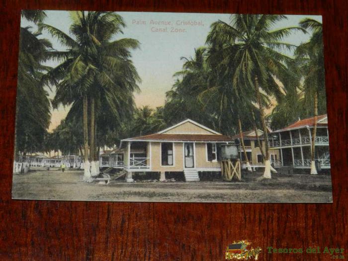 Antigua Postal, Palm Avenue, Crist�bal, Zona Del Canal, Sin Circular, Old Post, Palm Avenue, Cristobal, Canal Zone, Uncirculated