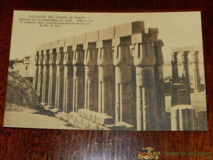 Antigua Foto Postal, Columnata Del Templo De Luxor, Sin Circular, Old Photo Postcard, Colonnato Del Tempio Di Luxor, Uncirculated
