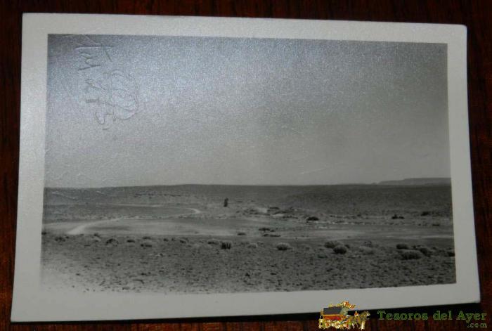 Antigua Foto Postal, Sahara,el Desierto, No Circulada