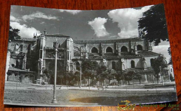 Antigua Foto Postal De Palencia, Catedral, N. 5, Circulada, Ed. Artigot.