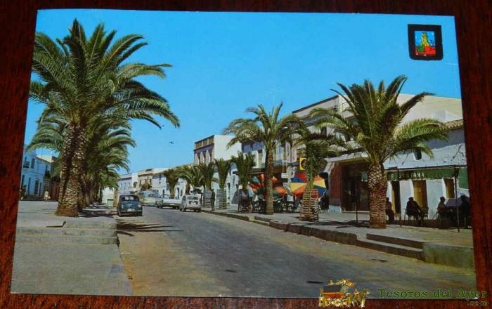 Antigua Foto Postal De Lepe, Huelva, N. 4, Paseo Del Teniente Coronel Martinez Garcia, Ed. Fisa, Circulada.
