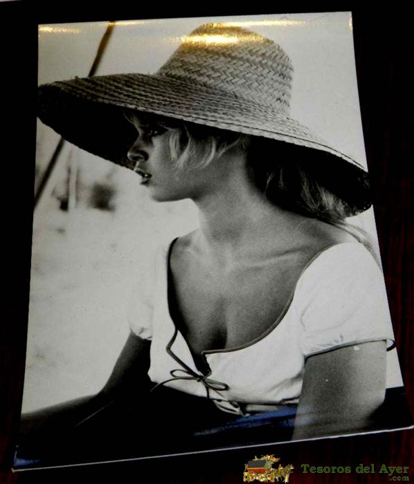 Antigua Foto Postal De Brigitte Bardot, N. 5808, No Circulada, Archivo Bermejo.