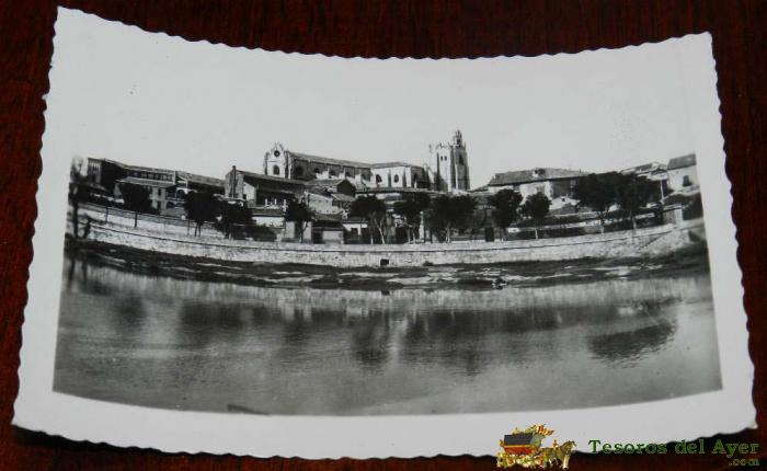 Antigua Foto Postal De Palencia, N. 6, La Catedral Desde El Rio, No Circulada, Ed. Arribas.