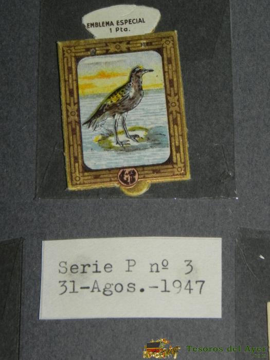 Emblema De Auxilio Social, Precio 1 Peseta, Tama�o 3 X 4,5 Cms, Serie P, Numero 3, 31 Agosto De 1947, Especial