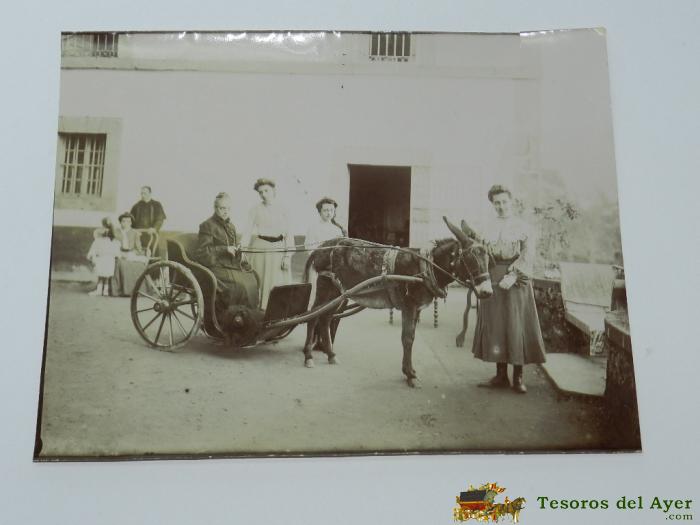 Antigua Fotografia Albumina De Carruaje Familiar Tirado Por Un Burro, En Villa En 1904, Espectacular. Mide 22,7 X 17,7 Cms. 