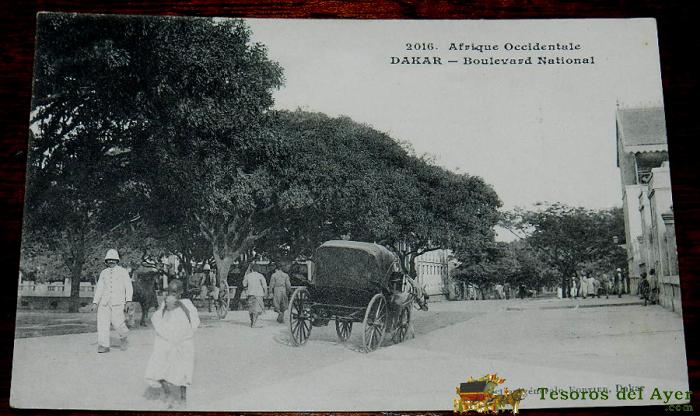 Antigua Postal De Dakar, Senegal, Afrique Occidentale, N. 2016, Boulevard National, Collection Generale Fortier, No Circulada.