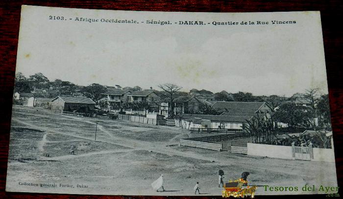 Antigua Postal De Dakar, Senegal, Afrique Occidentale, N. 2103, Rue Vincens, Collection Generale Fortier, No Circulada.