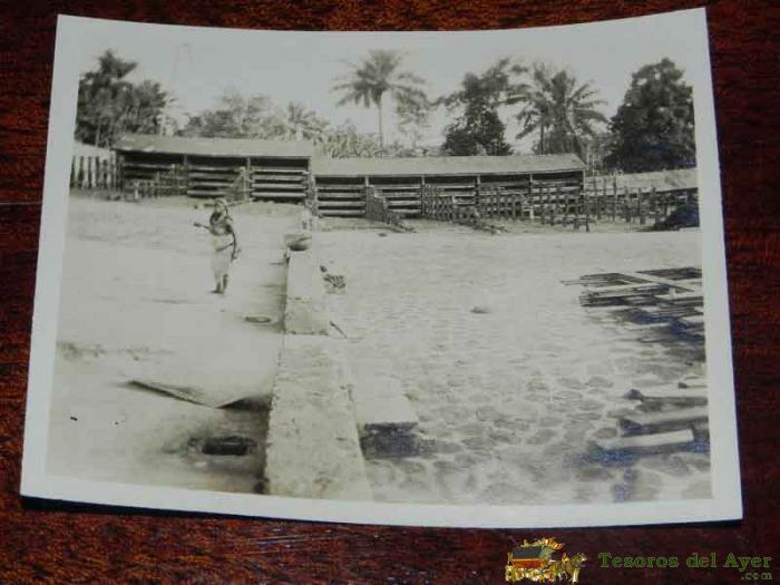 Antigua Fotografia De Guinea Ecuatorial Espa�ola, Mide 10,5 X 8 Cms.