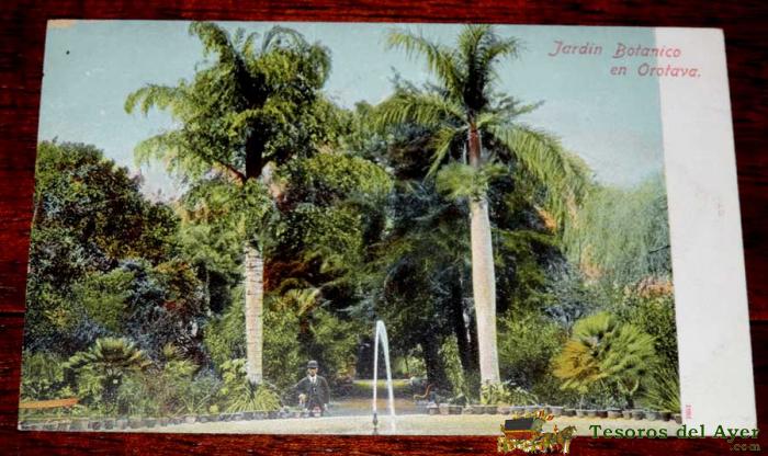 Postal De La Orotava (tenerife) Jardin Botanico, 7857, Sin Circular