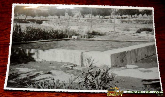 Fotografia De Alcaudete (jaen), Nueva Fuente De Agua, 1950 Aprox. Mide 17,58 X 11,6 Cms. Aprox. 