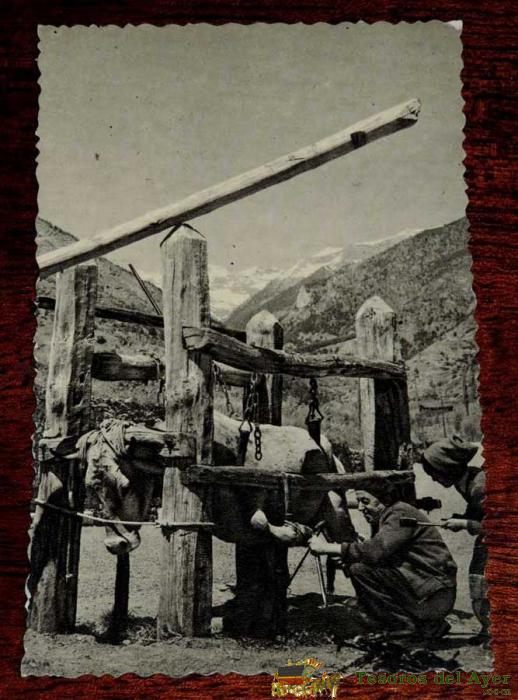 Foto Postal De Andorra -39- Ferrer De Vaques (la Massana), Sin Circular