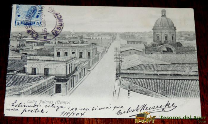 Postal De Paraguay, Calle Palmas (centro), Circulada En 1904 A Bolivia, Sin Dividir
