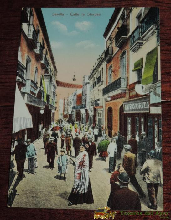 Antigua Postal De Sevilla - Calle La Sierpes . Coleccion M. Chaparteguy. 28483. No Circulada.