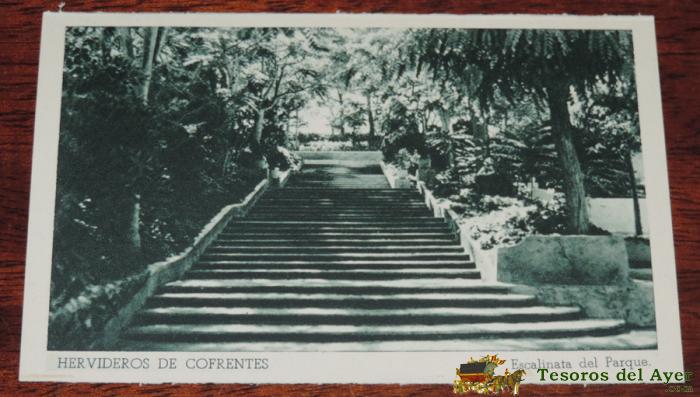 Postal De Hervidero De Cofrentes, Escalinata Del Parque, Huecograbado Fournier, No Circulada.