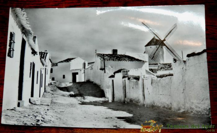 Foto Postal De Criptana (ciudad Real) Una Calle Tipica, Foto Salas, N� 35, Circulada.