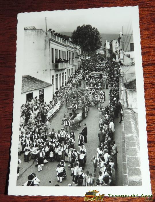 Foto Postal De Tenerife Carrozas Tipicas, Ed. Arribas 97 Sin Circular