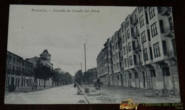 Palencia, Avenida De Casado Del Alisal, Edicion Y Foto Alonso, Hae, Sin Circular