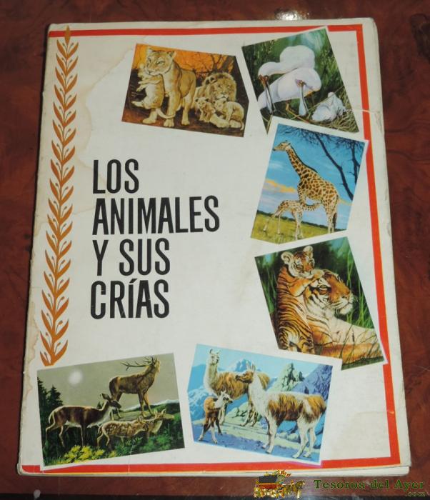 Album De Cromos Los Animales Y Sus Crias, Ed. Ferma 1966, Completo, 48 Cromos. Mide 25 X 18,5 Cms.