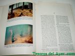 Haga click para ampliar