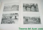 Haga click para ampliar