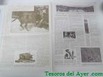 Haga click para ampliar