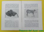 Haga click para ampliar